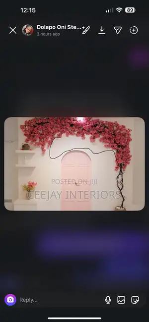 Chery Blossom Flowers
