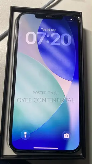 Apple iPhone 12 Pro Max 256 GB Blue