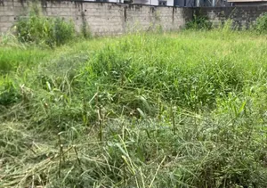 Half Plot of Land for Sale in Startimes Estate