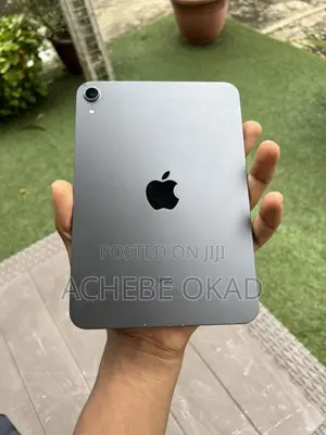 Apple iPad mini 6 64 GB Gray