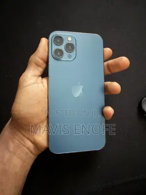 Apple iPhone 12 Pro Max 256 GB Gray