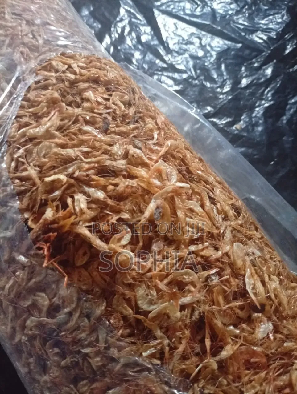 Oron Crayfish Don Drop