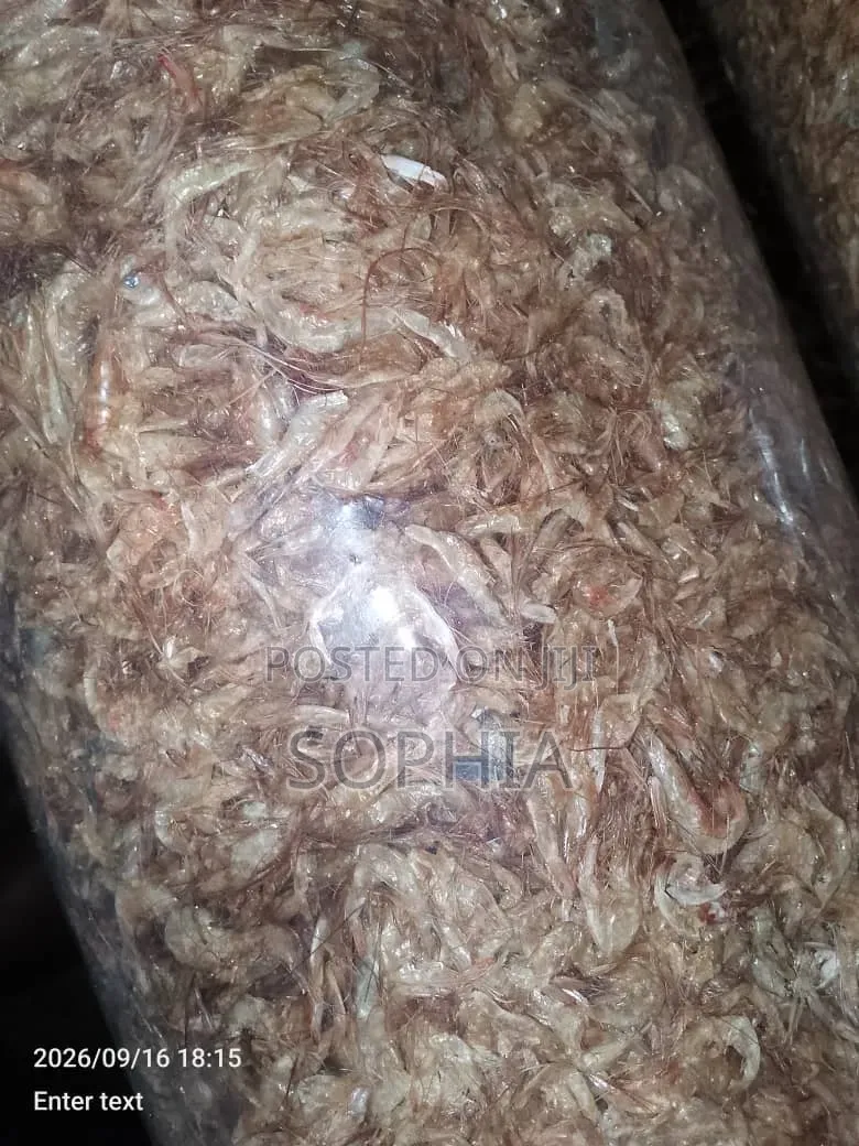 Oron Crayfish Don Drop