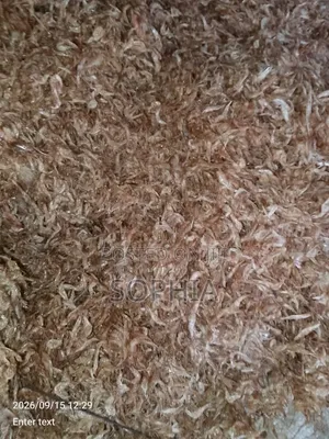 Oron Crayfish Don Drop