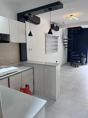 Furnished 1bdrm Maisonette in Adedeji Adekola, Ikate for rent