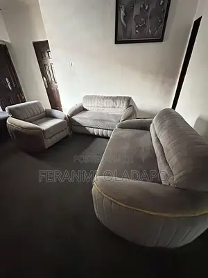 A Very Nearly Used Couch