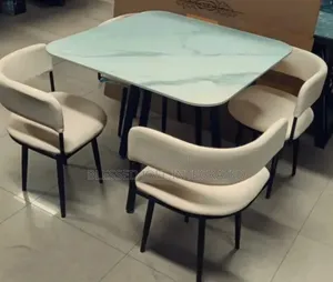 Portable Dinning Table