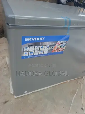 Skyrun BD-300HNW Large-Capacity Freezer for Food Businesses