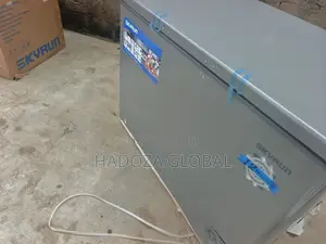 Skyrun BD-300HNW Chest Freezer for Restaurants Catering