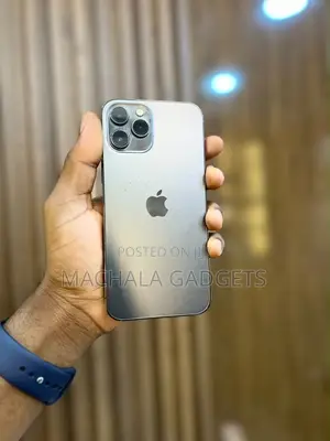 Apple iPhone 12 Pro Max 128 GB Black