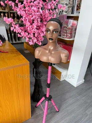 Beautiful Mannequin