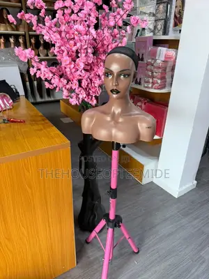 Beautiful Mannequin
