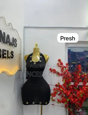 Princess Closet
