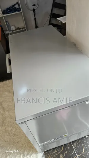 418L Inverter Freezer