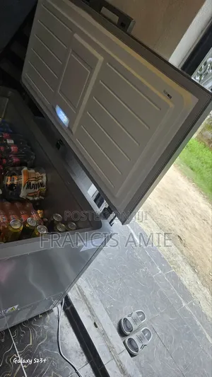 418L Inverter Freezer