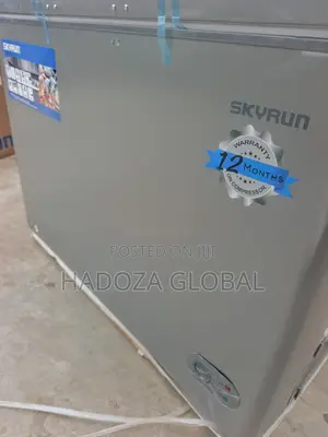 Skyrun BD-300HNW Freezer for Preserving Fresh Food Longer