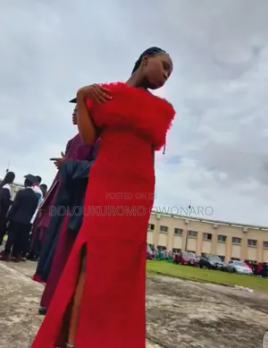 Red Off-the-Shoulder Lace Aso Ebi Gown