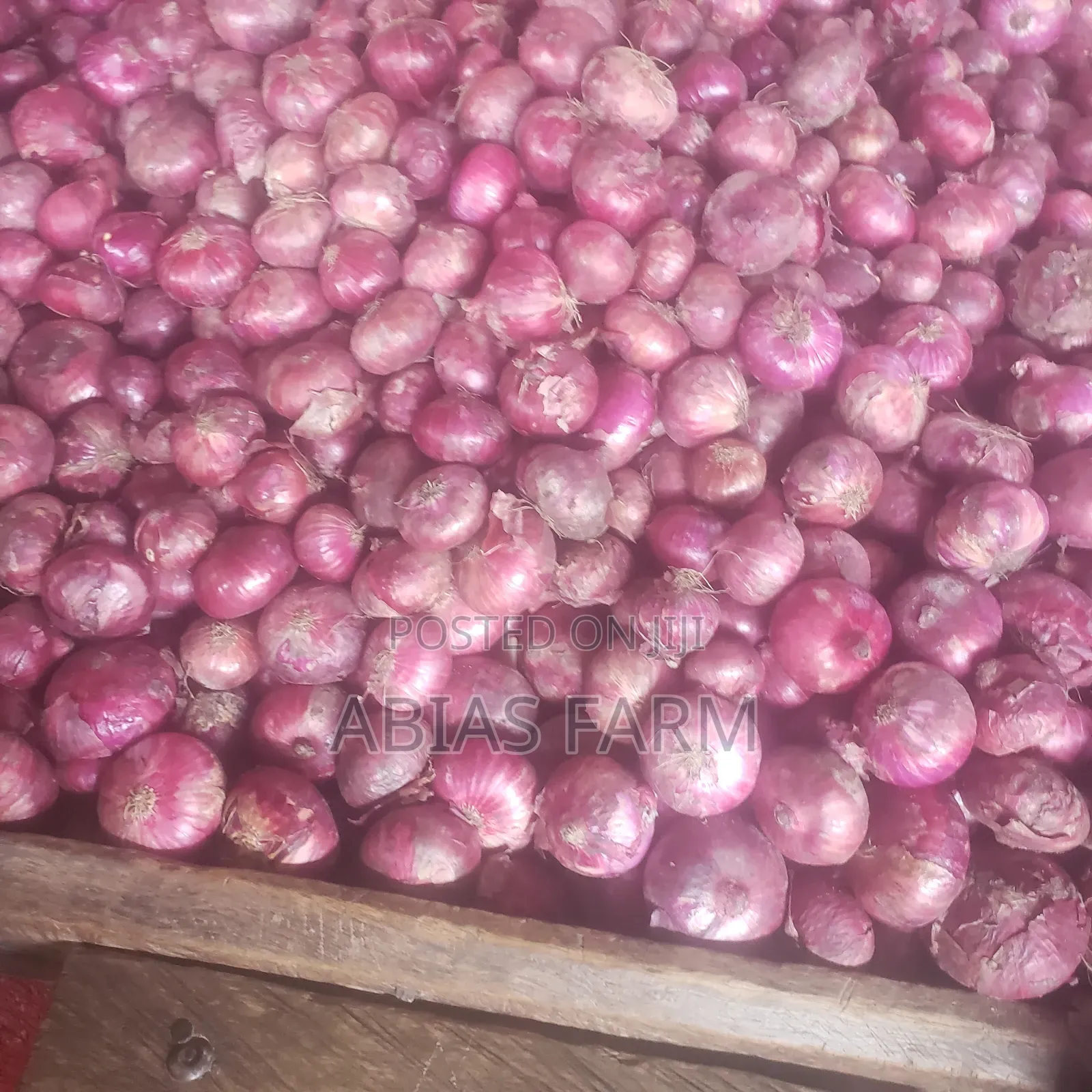 Ceo Abias Farm