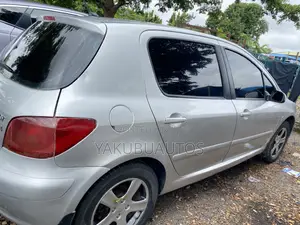 Peugeot 307 2007 Silver