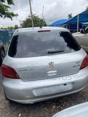 Peugeot 307 2007 Silver