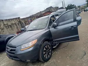 Hyundai Santa Fe GLS 2010 Gray