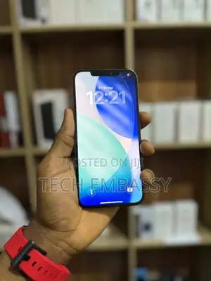 Apple iPhone 12 Pro Max 128 GB Blue