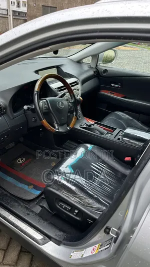 Lexus RX 350 2010 Silver