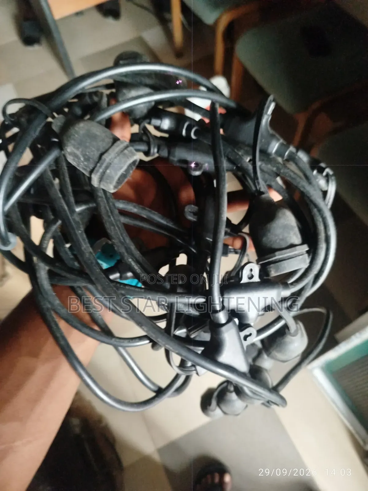 20by40 String Light Wire
