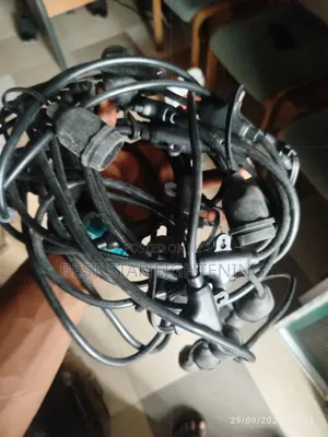 20by40 String Light Wire
