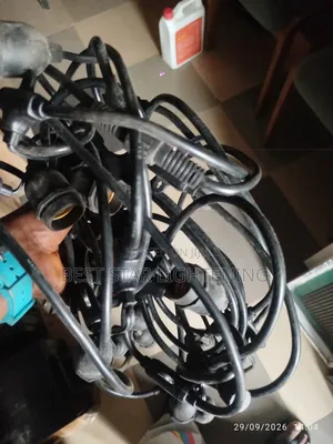 20by40 String Light Wire