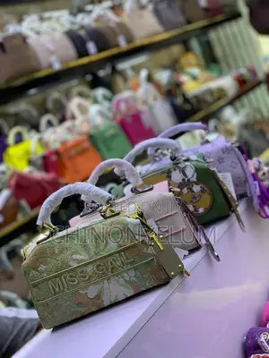Luxury Stylish Ladies Handbag – Classy Elegant