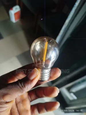 20by40 String Light Wire