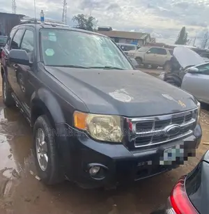 Ford Escape Hybrid 2007 Gray