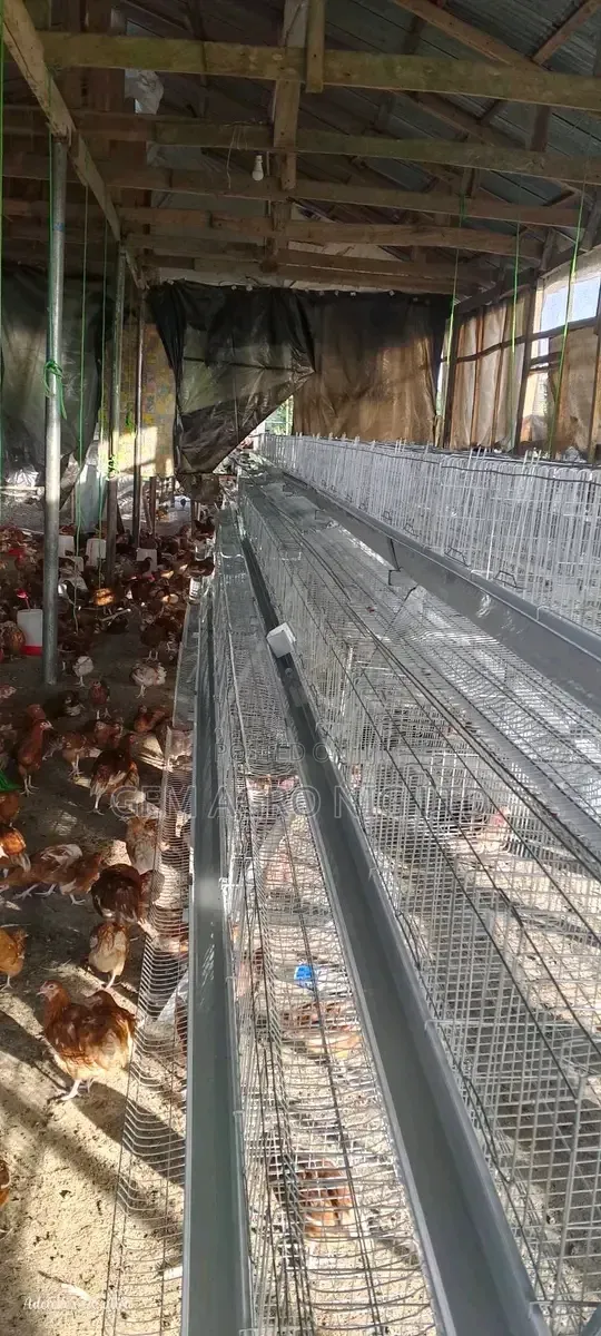 Layers Cage