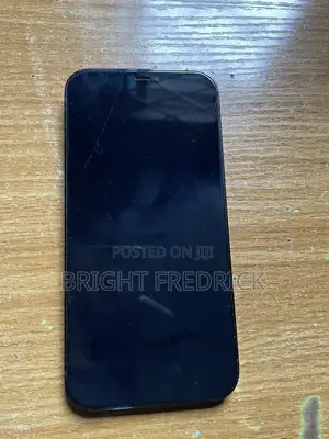 Apple iPhone 12 Pro Max 128 GB Gray