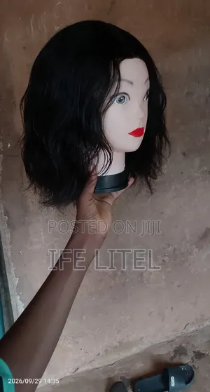 Monica Bouncy Curly Wig - Human Hair Blend