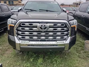 Toyota Tundra SR5 2022 Brown