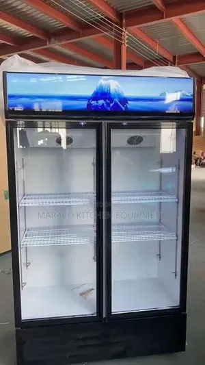 Double Door Freezer