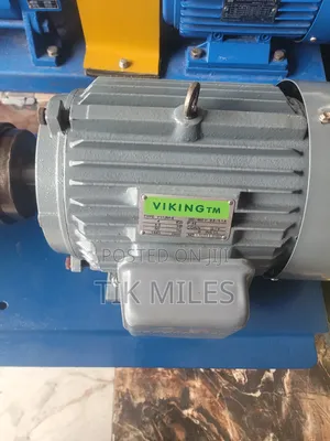 VIKING TM Industrial Electric Motor