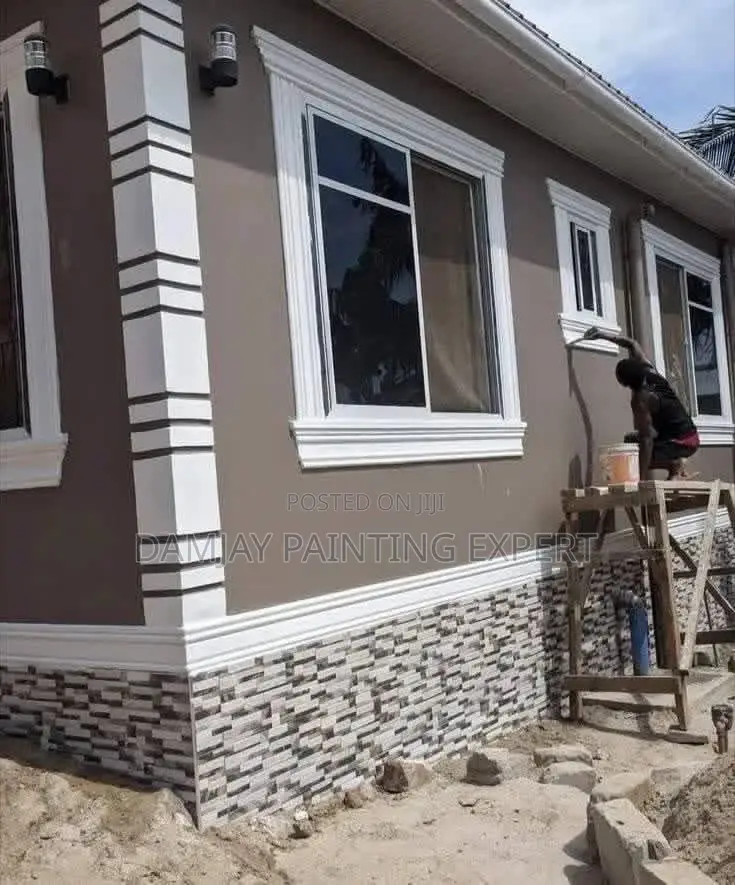 Professional House Painter Screeder Etc