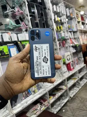 Apple iPhone 12 Pro Max 256 GB Blue