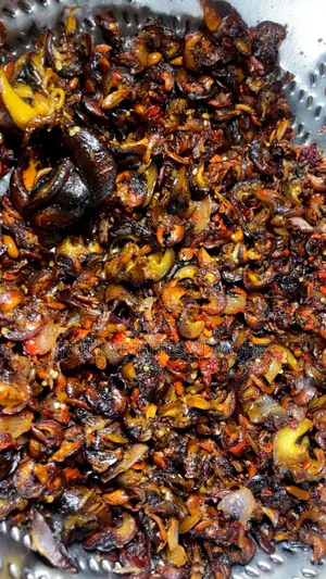 Snail Snacks