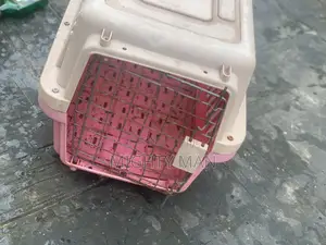 Pet Create