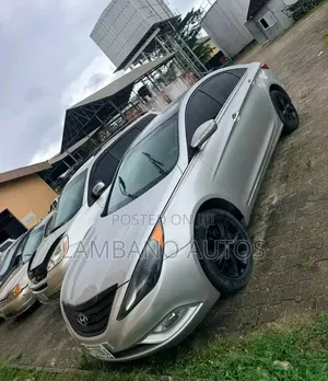Hyundai Sonata 2013 Silver