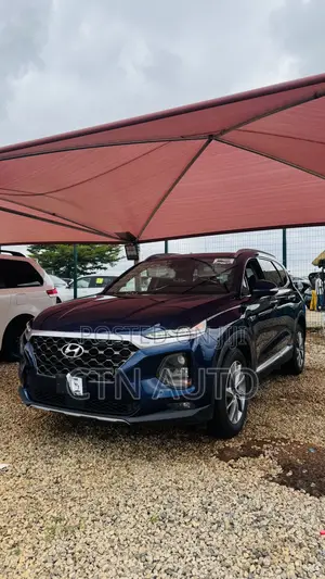 Hyundai Santa Fe Ultimate 2.0T AWD 2019 Blue