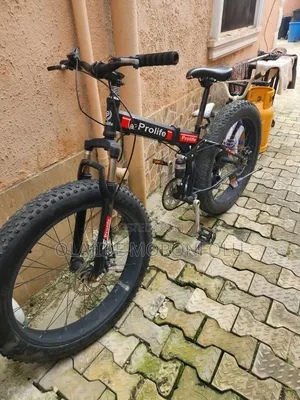 Prolife Foldable Bicycle