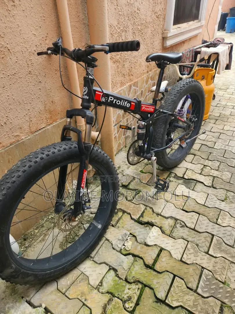 Prolife Foldable Bicycle