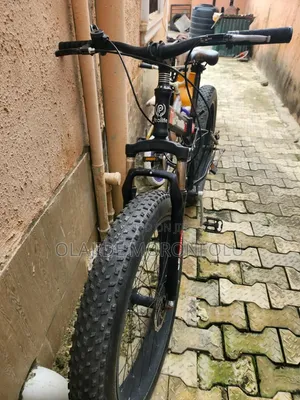 Prolife Foldable Bicycle