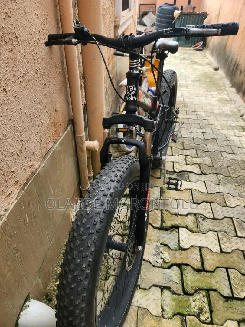 Prolife Foldable Bicycle