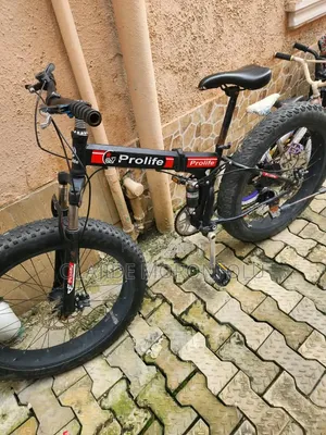 Prolife Foldable Bicycle